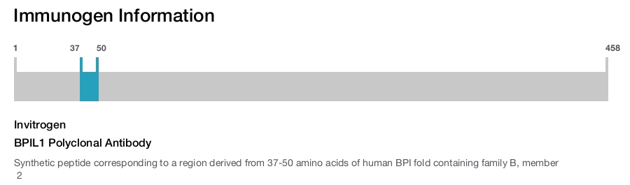 BPIL1 Polyclonal Antibody