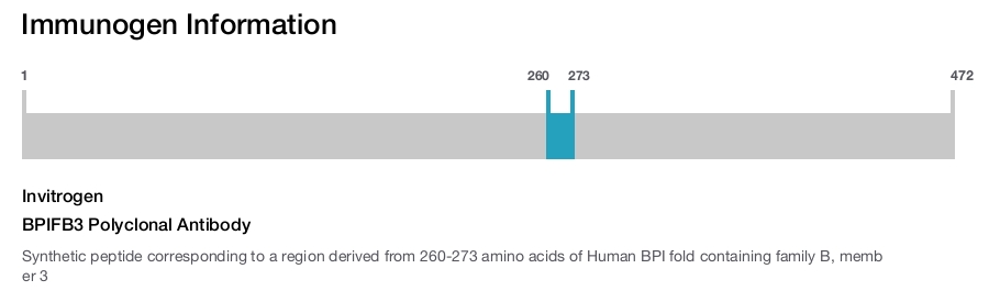 BPIFB3 Polyclonal Antibody