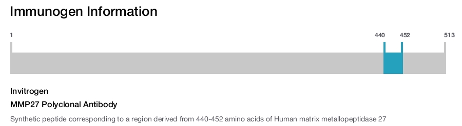 MMP27 Polyclonal Antibody