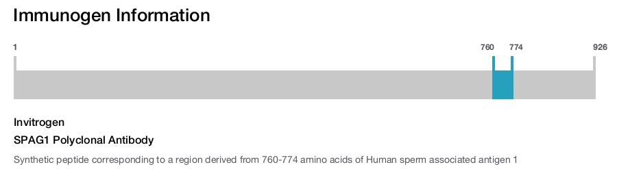SPAG1 Polyclonal Antibody