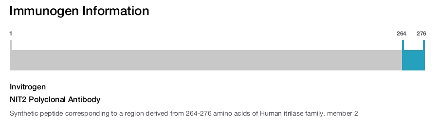 NIT2 Polyclonal Antibody
