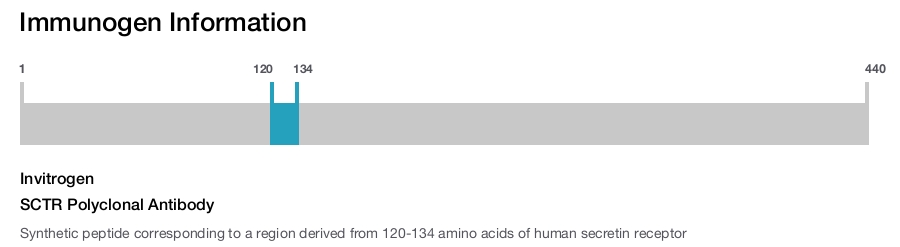 SCTR Polyclonal Antibody