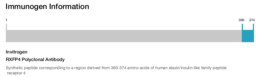 RXFP4 Polyclonal Antibody
