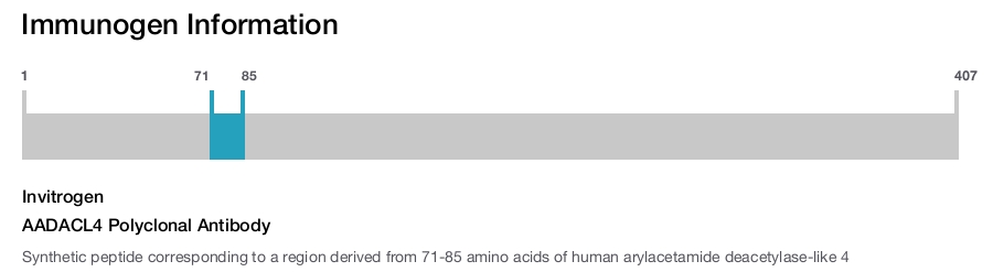 AADACL4 Polyclonal Antibody
