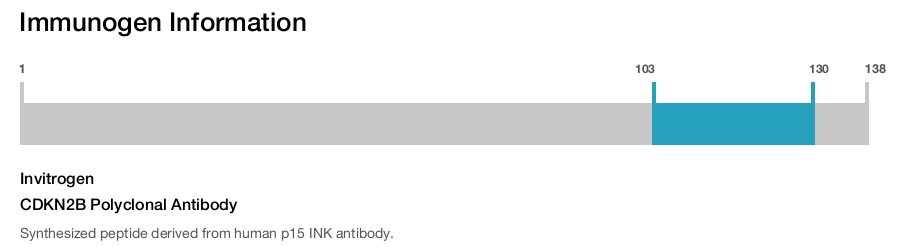 CDKN2B Polyclonal Antibody