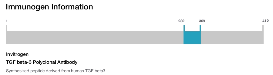 TGF beta-3 Polyclonal Antibody