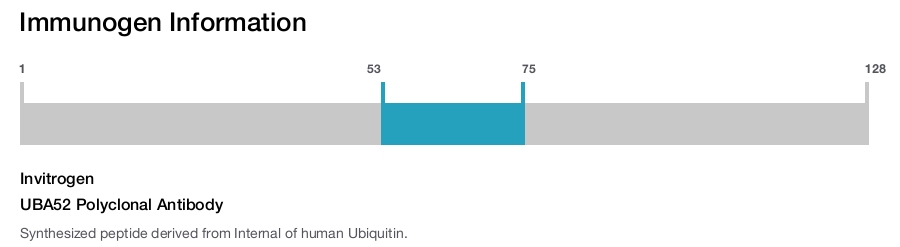 UBA52 Polyclonal Antibody