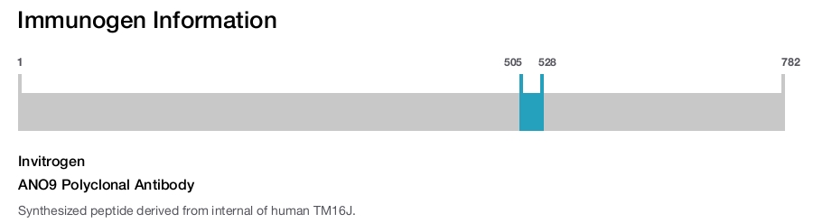 ANO9 Polyclonal Antibody