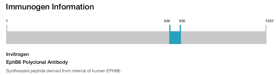 EphB6 Polyclonal Antibody