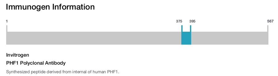 PHF1 Polyclonal Antibody