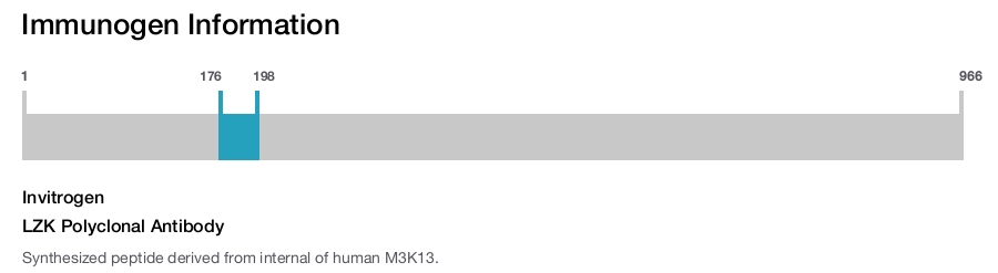 LZK Polyclonal Antibody