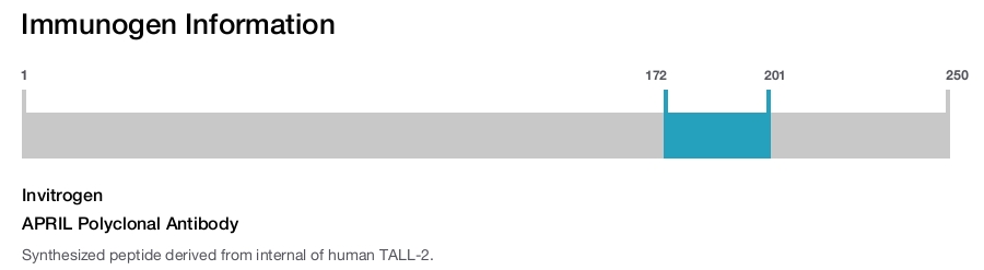 APRIL Polyclonal Antibody