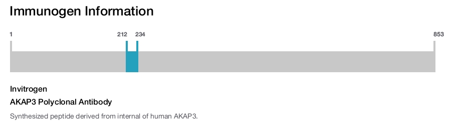 AKAP3 Polyclonal Antibody