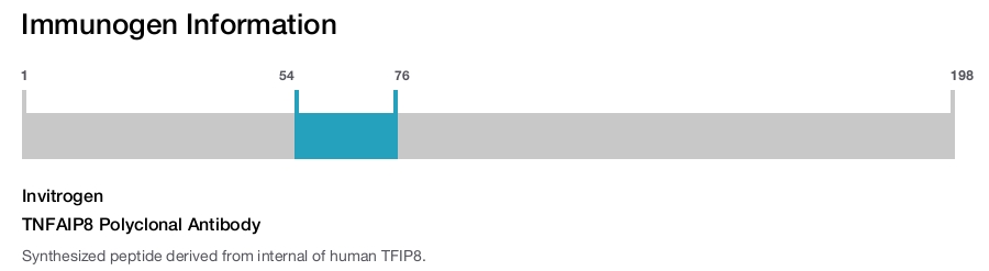 TNFAIP8 Polyclonal Antibody