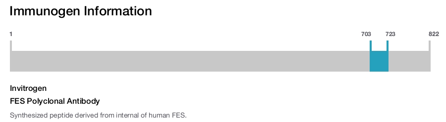FES Polyclonal Antibody