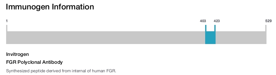 FGR Polyclonal Antibody