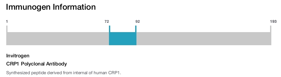 CRP1 Polyclonal Antibody