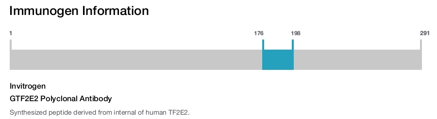 GTF2E2 Polyclonal Antibody