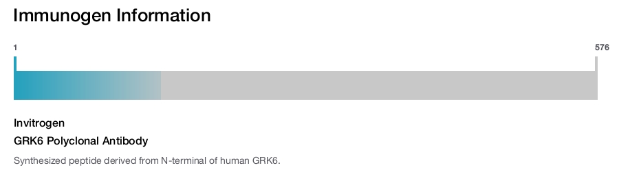 GRK6 Polyclonal Antibody