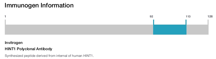 HINT1 Polyclonal Antibody
