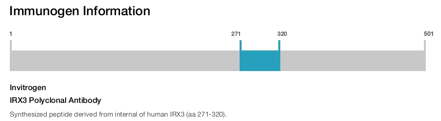 IRX3 Polyclonal Antibody