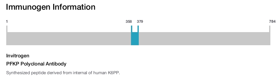 PFKP Polyclonal Antibody