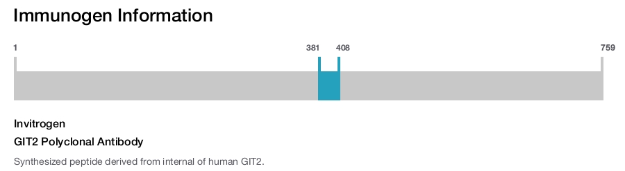 GIT2 Polyclonal Antibody