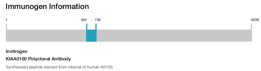 KIAA0100 Polyclonal Antibody