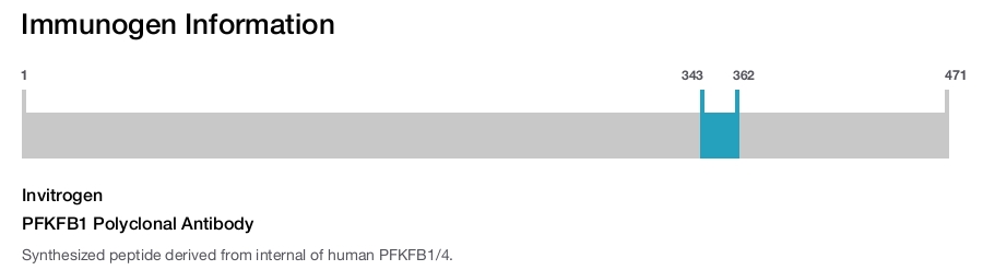 PFKFB1 Polyclonal Antibody