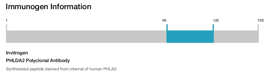 PHLDA2 Polyclonal Antibody