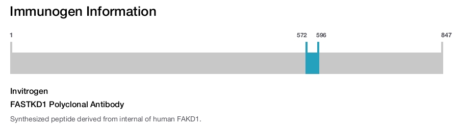 FASTKD1 Polyclonal Antibody