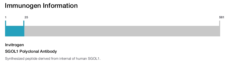 SGOL1 Polyclonal Antibody