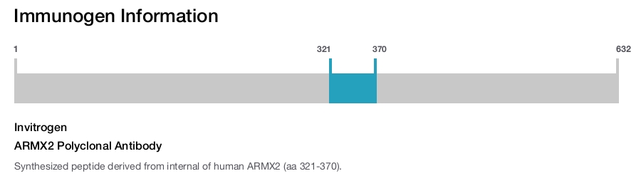 ARMX2 Polyclonal Antibody