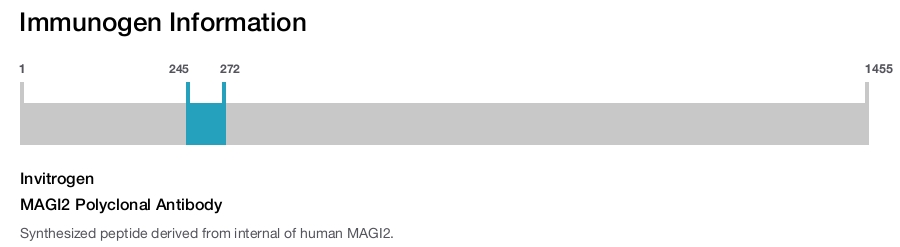 MAGI2 Polyclonal Antibody