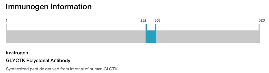 GLYCTK Polyclonal Antibody