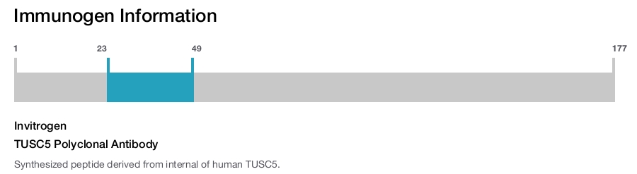 TUSC5 Polyclonal Antibody
