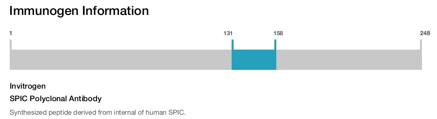 SPIC Polyclonal Antibody