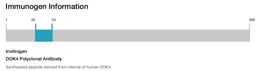 DOK4 Polyclonal Antibody