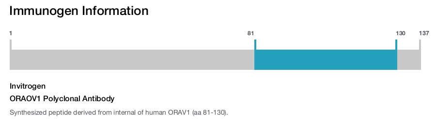 ORAOV1 Polyclonal Antibody