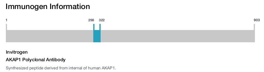 AKAP1 Polyclonal Antibody