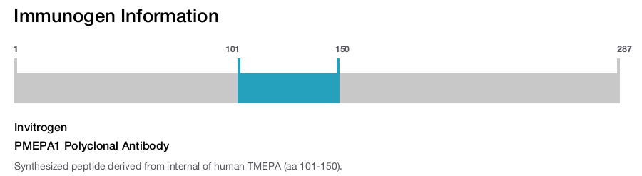 PMEPA1 Polyclonal Antibody
