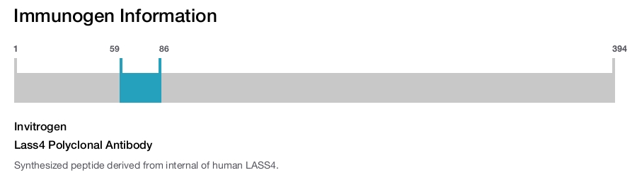 Lass4 Polyclonal Antibody