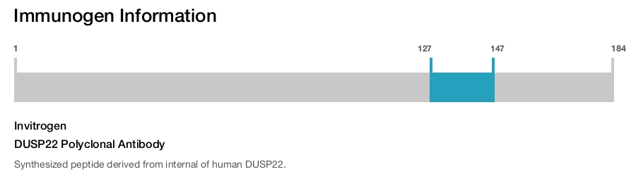 DUSP22 Polyclonal Antibody