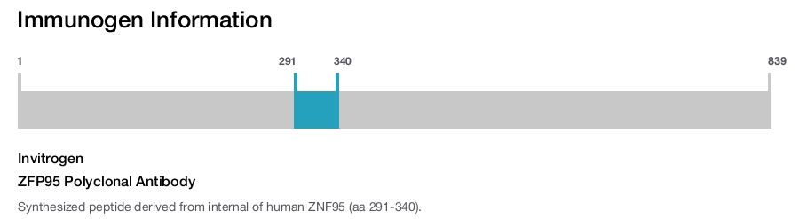 ZFP95 Polyclonal Antibody