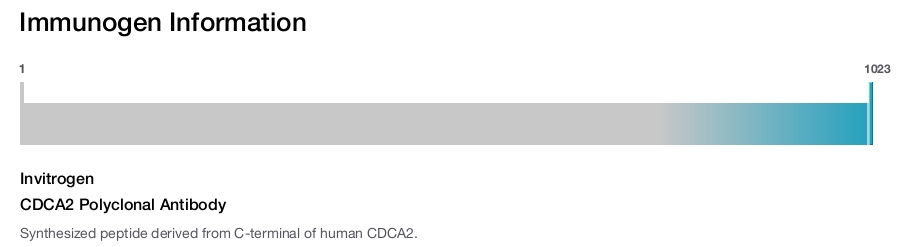 CDCA2 Polyclonal Antibody