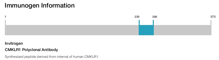 CMKLR1 Polyclonal Antibody