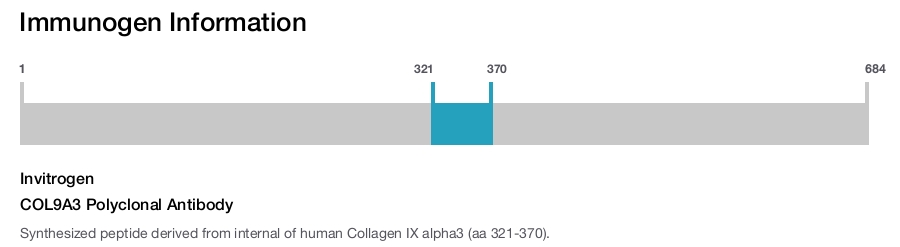 COL9A3 Polyclonal Antibody