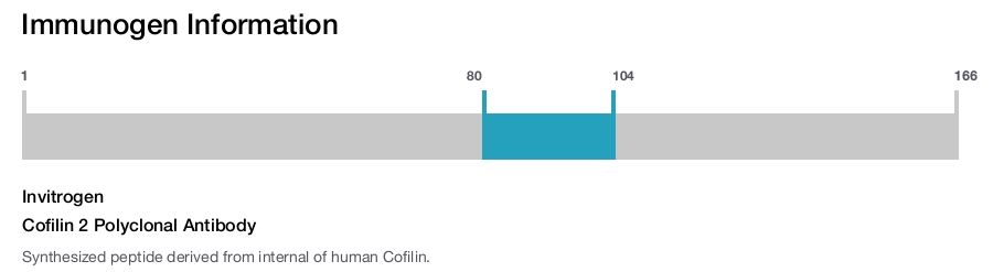 Cofilin 2 Polyclonal Antibody