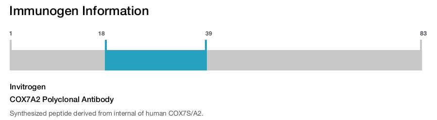 COX7A2 Polyclonal Antibody