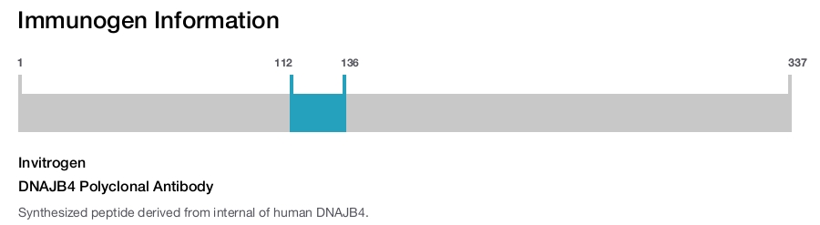 DNAJB4 Polyclonal Antibody